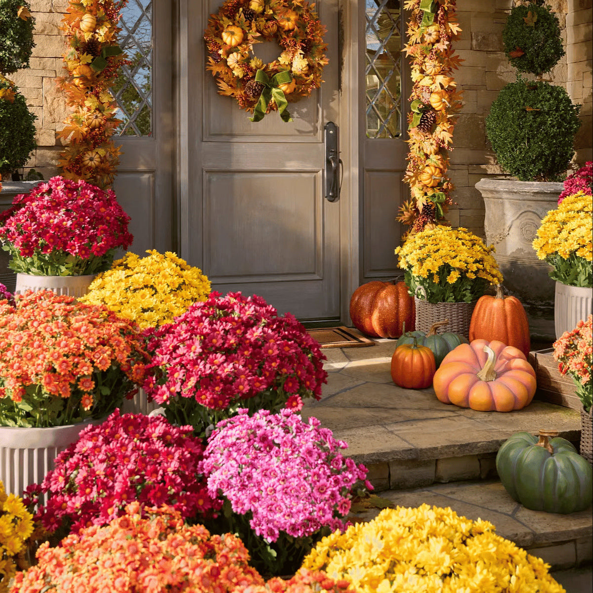 💥Limited stock 🌼- Artificial Outdoor Sunset Mums Flowers - UV resistant, Waterproof, Windproof