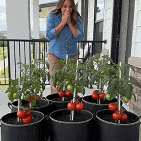 Plainlygoods 5-packs Heavy-Duty Breathable Grow Bags