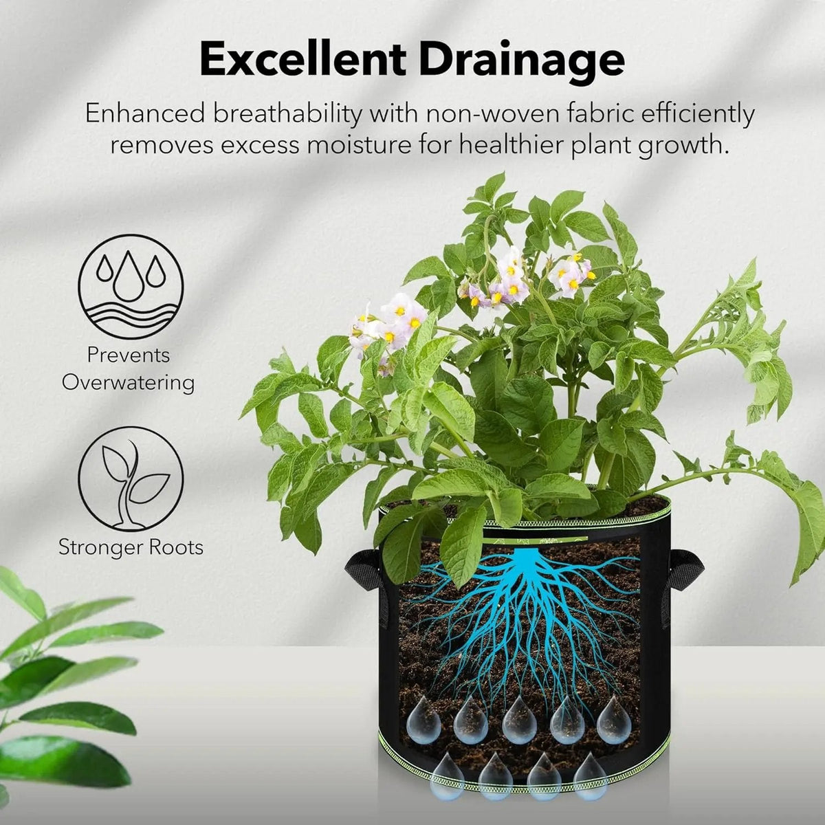 Plainlygoods 5-Pack 10 Gallon Grow Bags