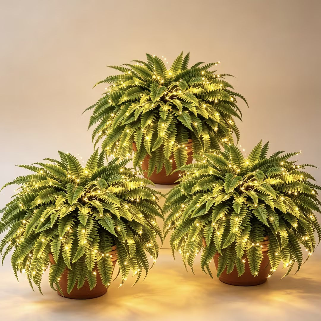 🌿 Glowing 88-Branch Boston Ferns with Lights – 48" long • 30" wide Zero Watering, Zero Maintenance