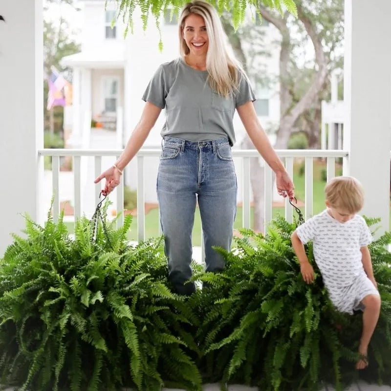 Glowing 88-Branch Boston Ferns with Lights – 48" long • 30" wide Zero Watering, Zero Maintenance