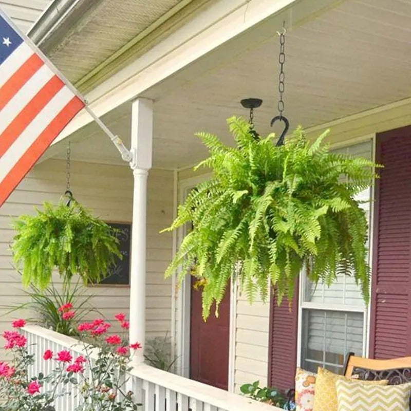 🌿 Glowing 88-Branch Boston Ferns with Lights – 48" long • 30" wide Zero Watering, Zero Maintenance